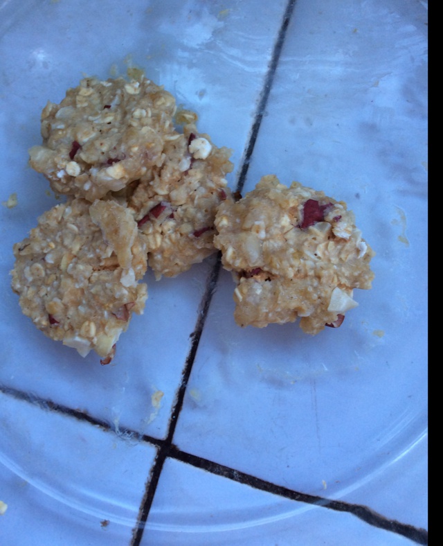 燕麦小饼干（微波炉）