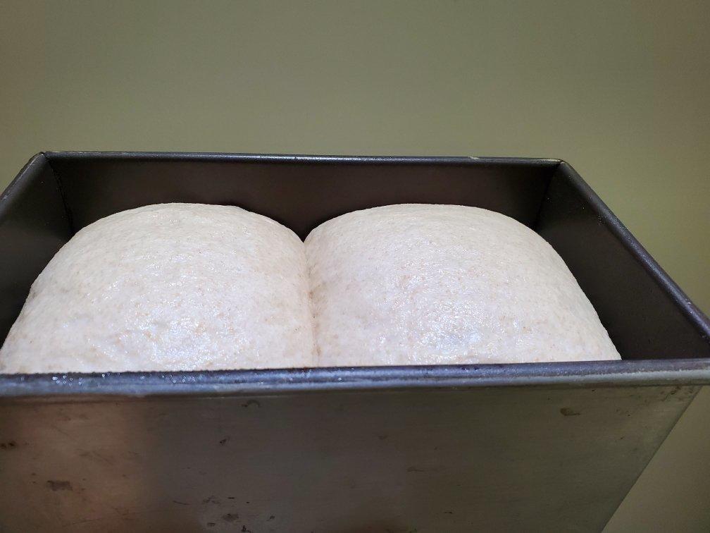 面包生活Bread Life【吐司和亚式面包】