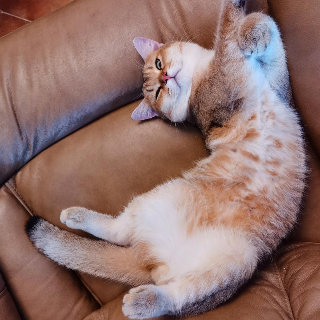 玥儿嗨森的厨房