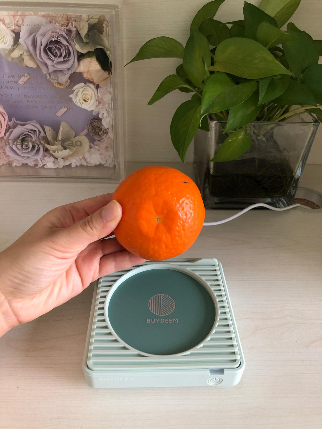 荠菜豆腐羹【4月北鼎养生壶食谱】