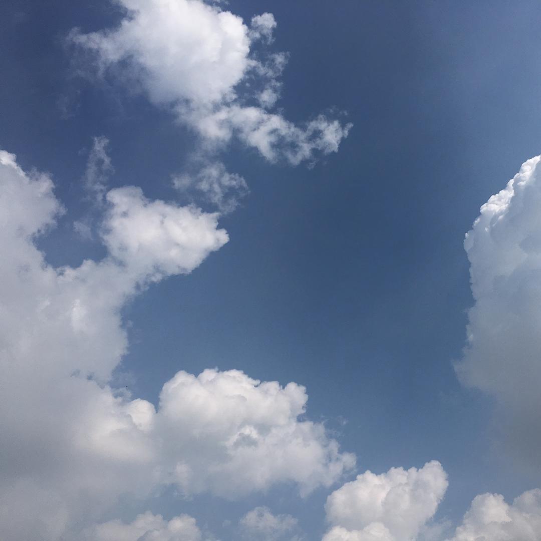 璐啊璐璐