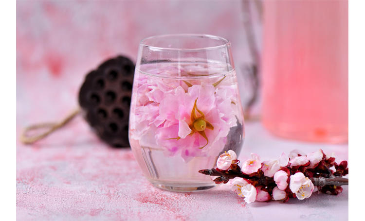 玫瑰鲜花饼【附玫瑰酱的做法】