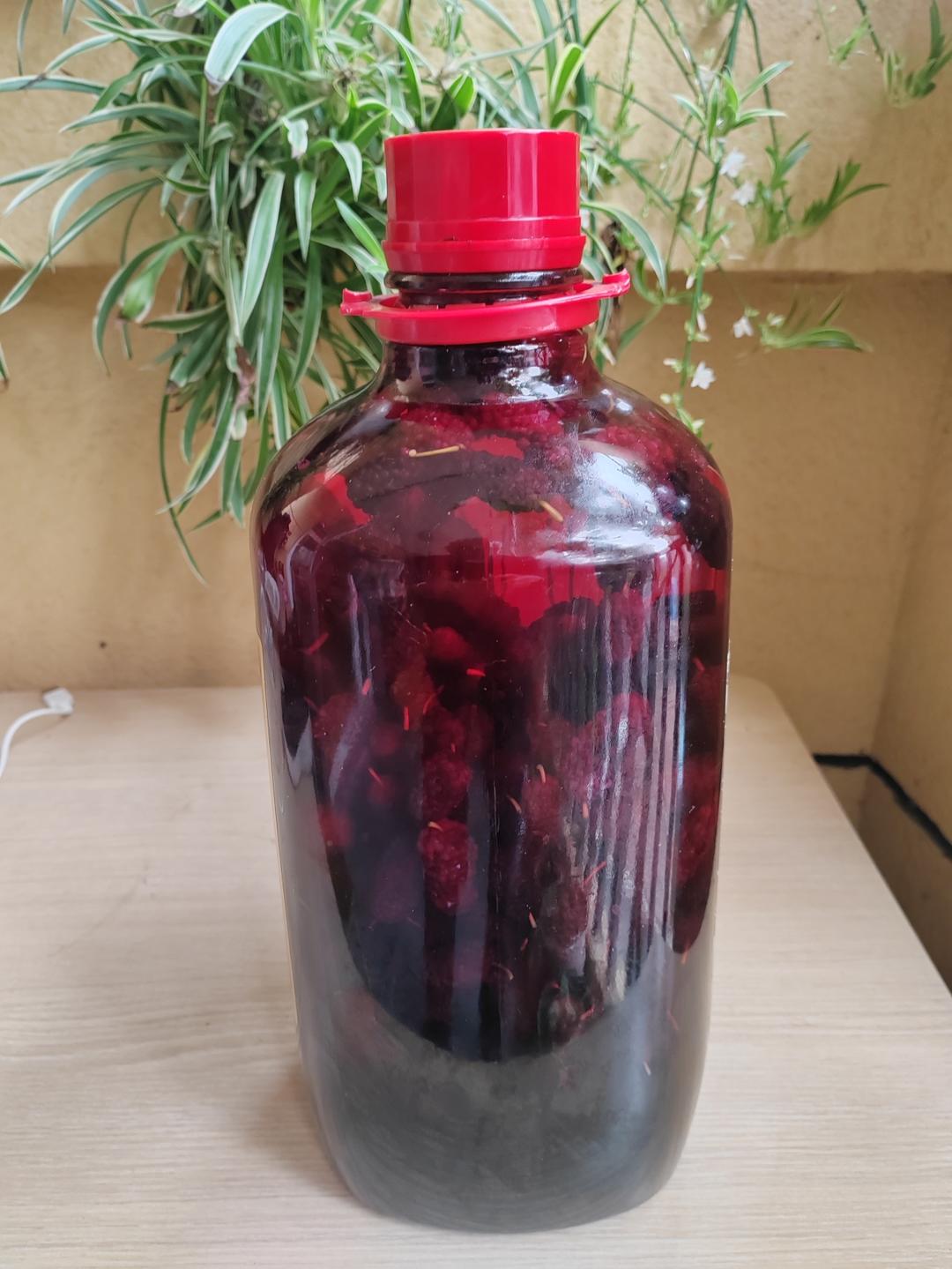 据说养肾固发美容的 桑葚干枸杞酒