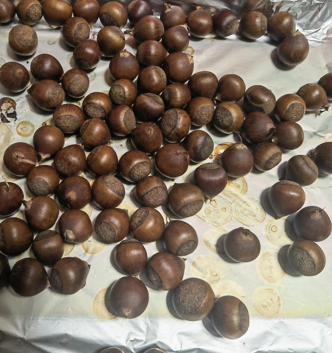 「两种做法的」烤箱版烤栗子