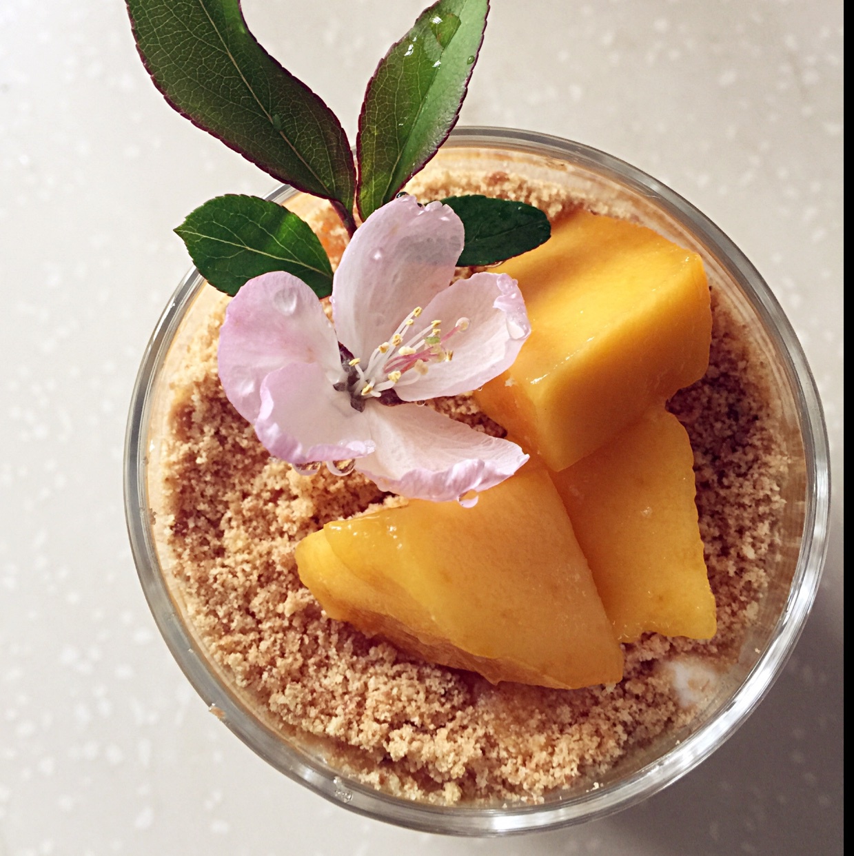 明列柚子nqwu做的芒果木糠杯