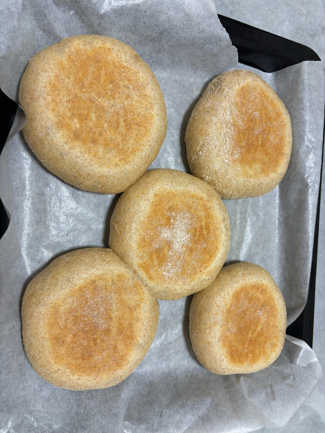 麦芬面包胚（少油少盐）