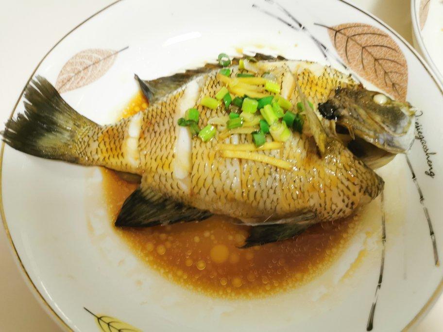 清蒸鲈鱼