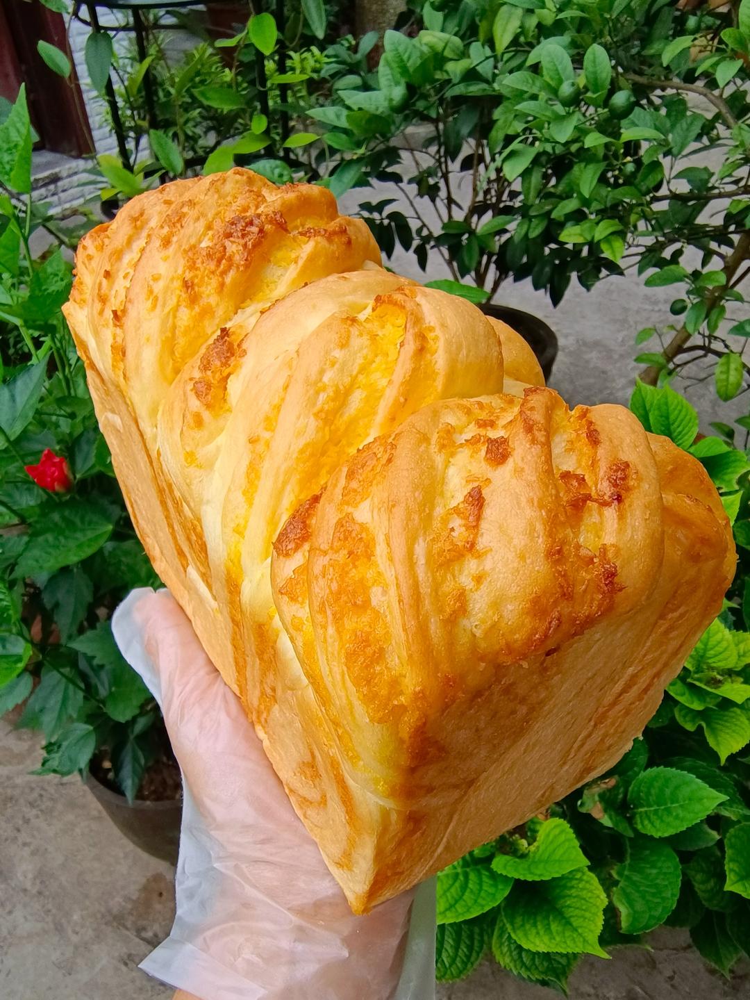 椰蓉满满吐司！幸福的味道。