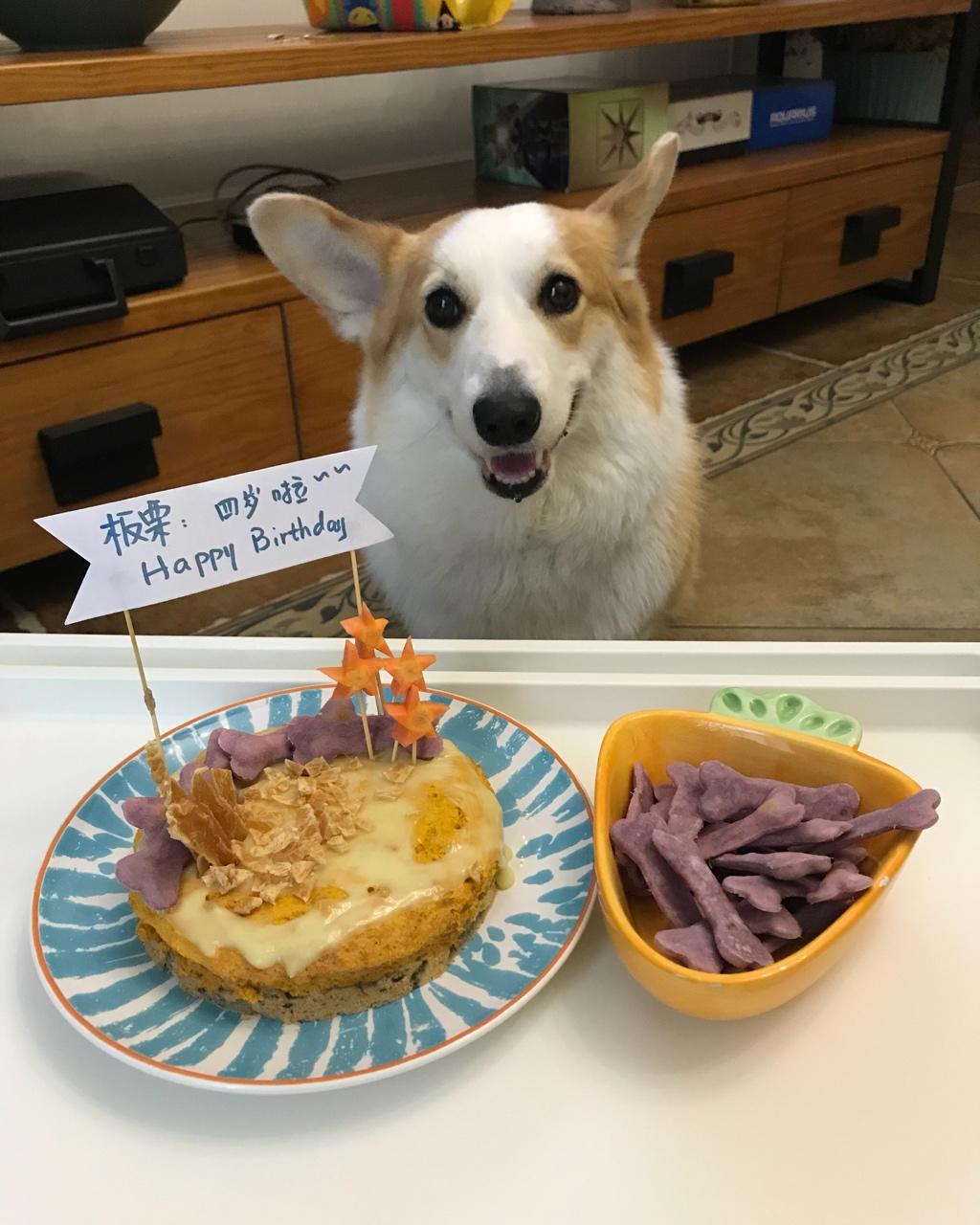 健康的宠物狗狗生日蛋糕(超详细：附步骤图和装饰饼干做法)