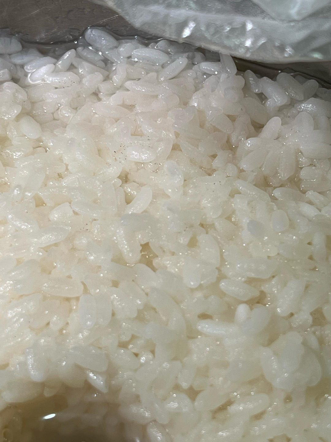 自制甜酒酿（醪糟）