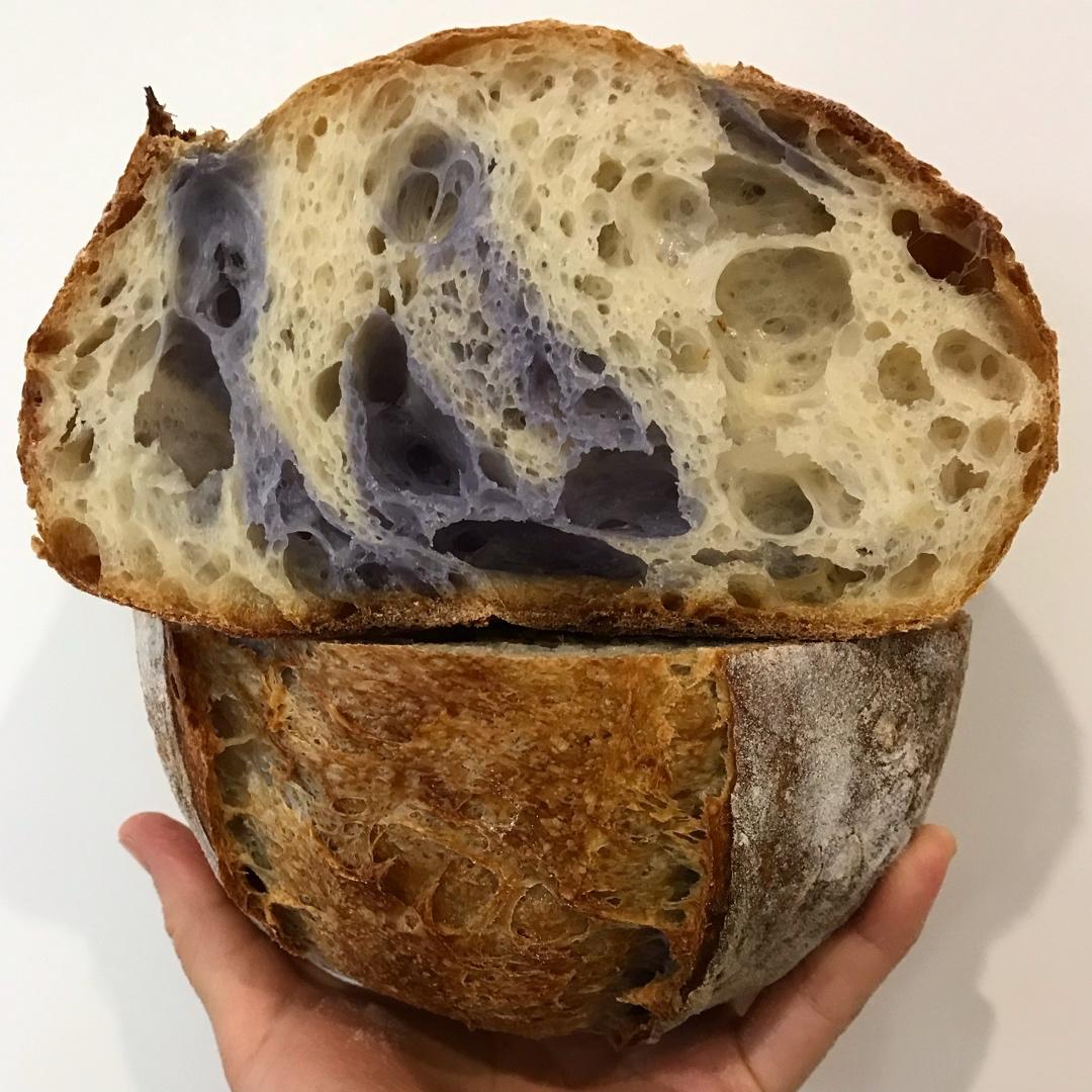 视频教程 天然酵种欧包 基础配方＆制作流程