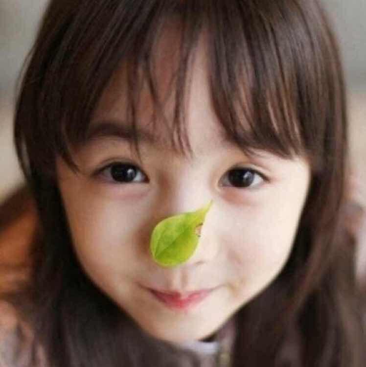 小小哲子