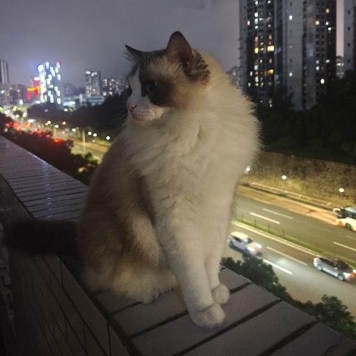 离书