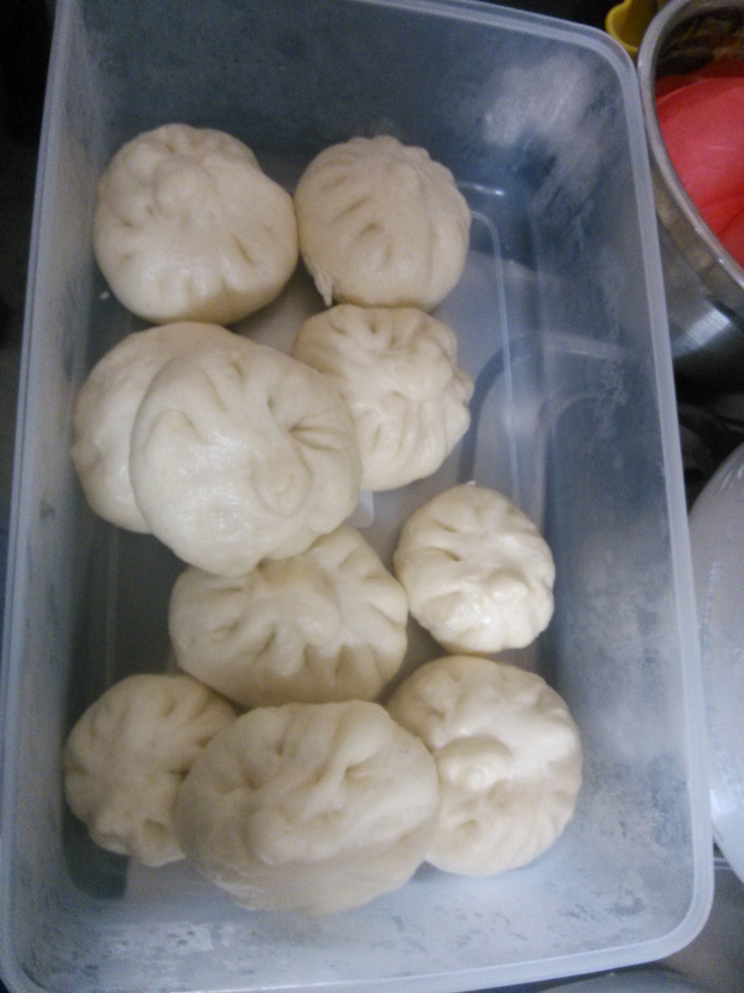 家常蒸包子（新手必学 超详 各式花卷馒头适用）