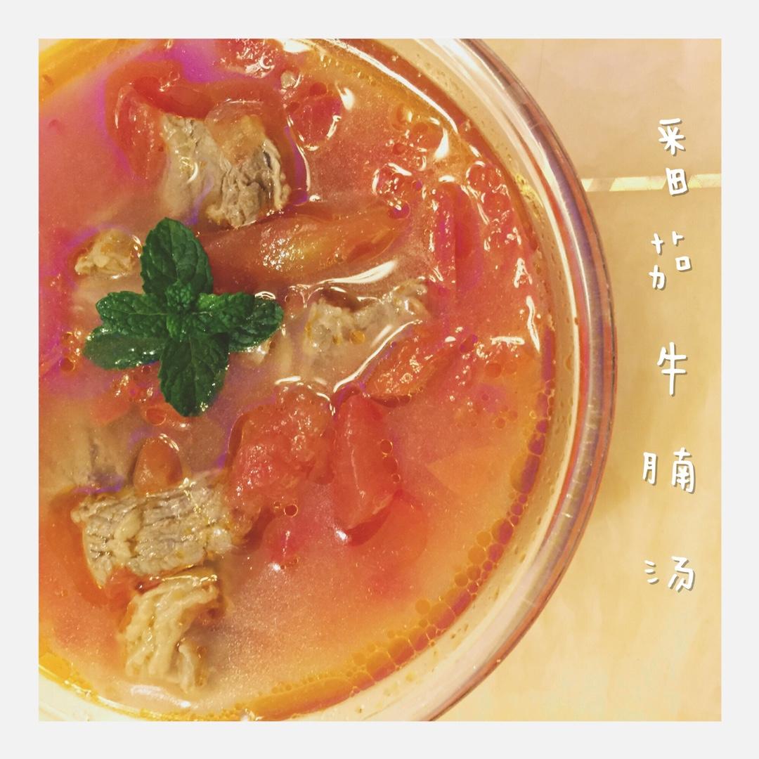 西红柿牛腩