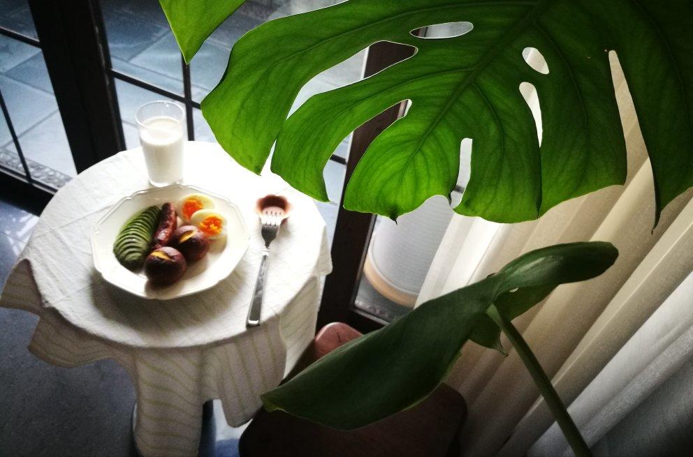 我的彩虹早餐桌