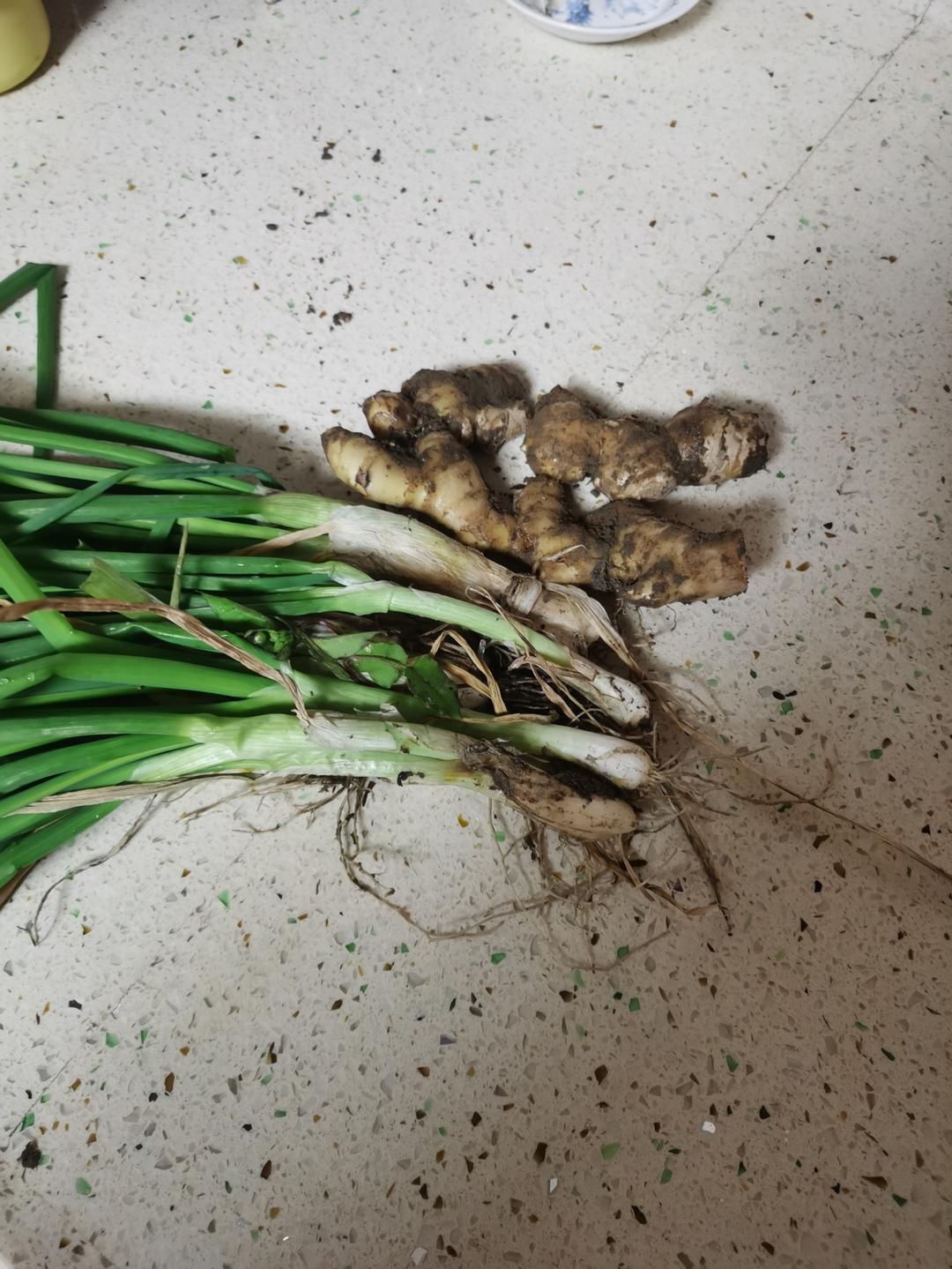 半熟芝士【烤箱食谱12月】