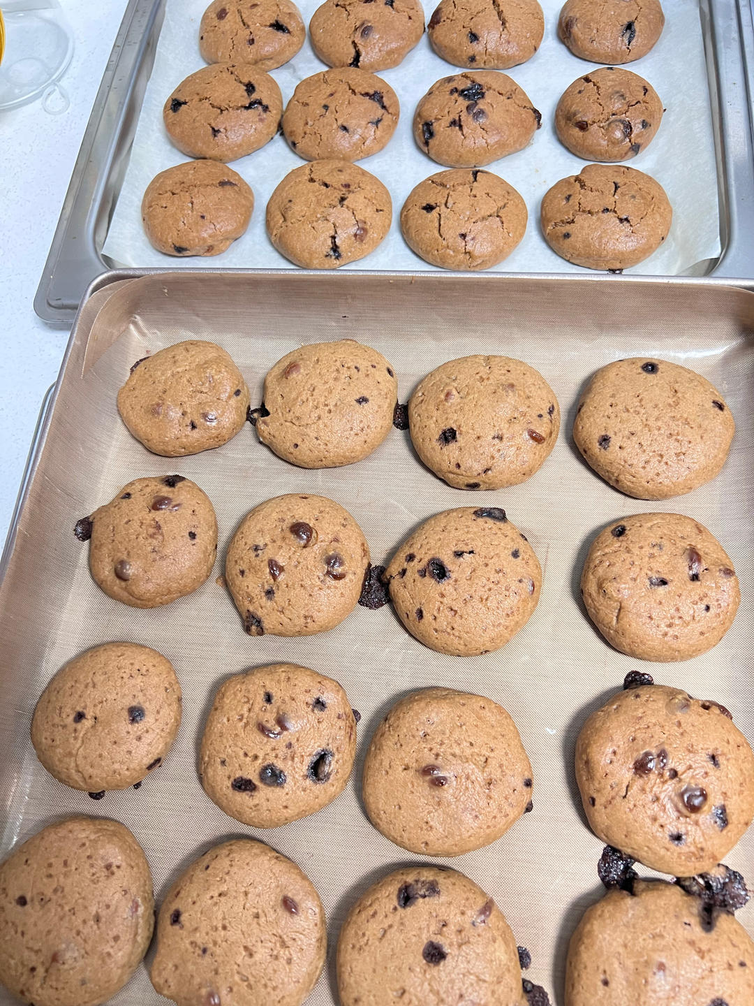 巧克力曲奇饼干🍪