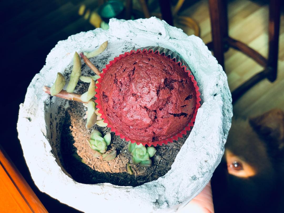 正宗红丝绒cupcake—马斯卡彭奶油霜