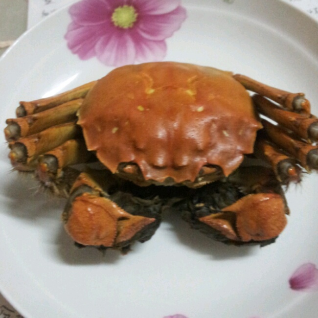 水煮螃蟹