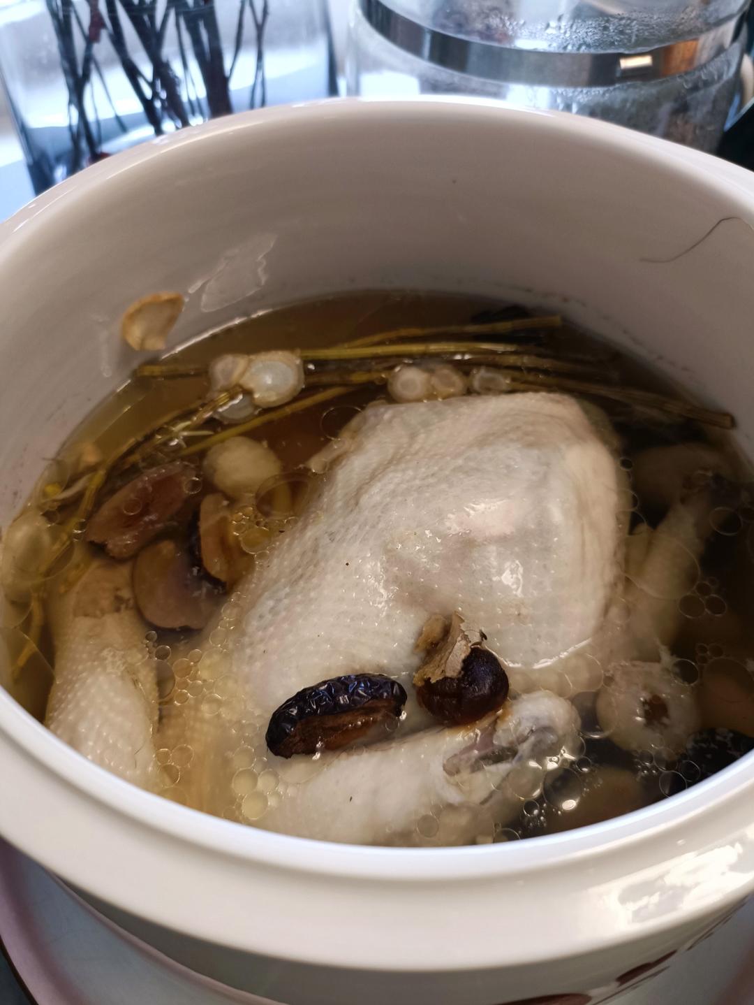 滋润熬夜党的靓汤～花旗参石斛炖鸡汤