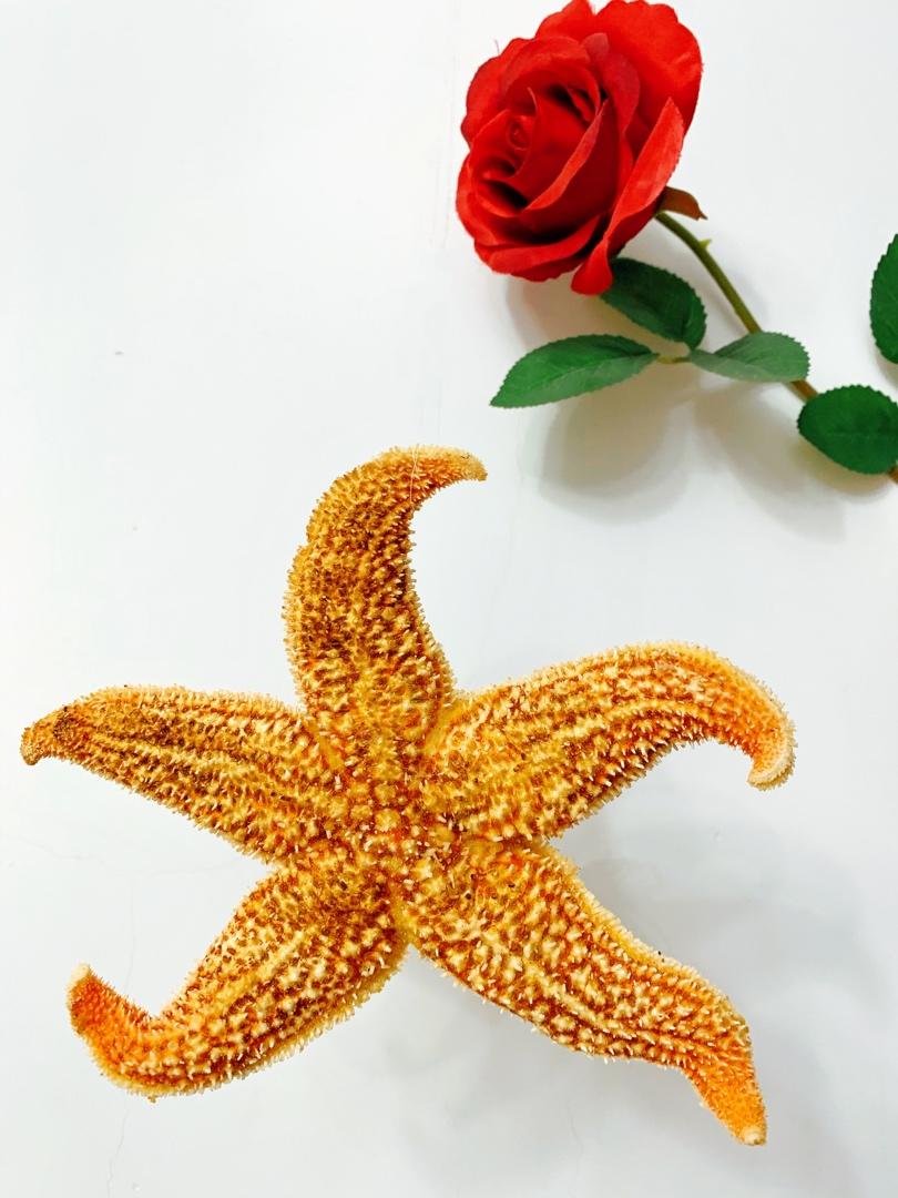 清蒸红海星