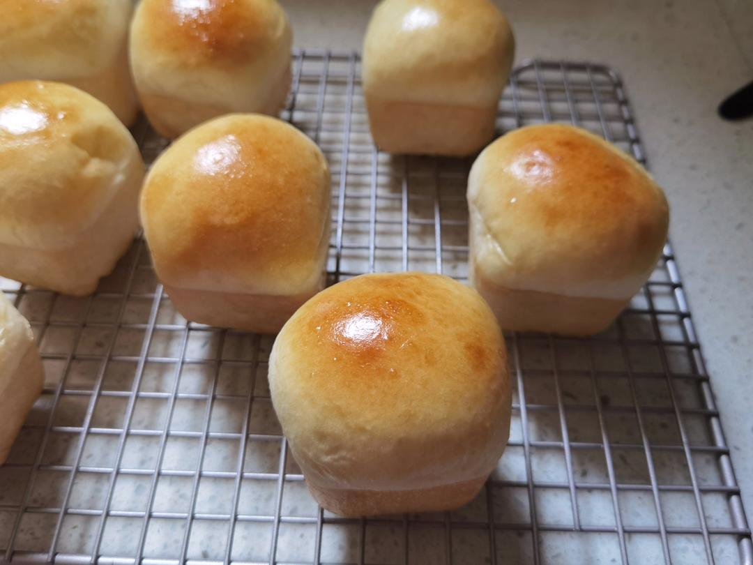 日式蜂蜜小餐包