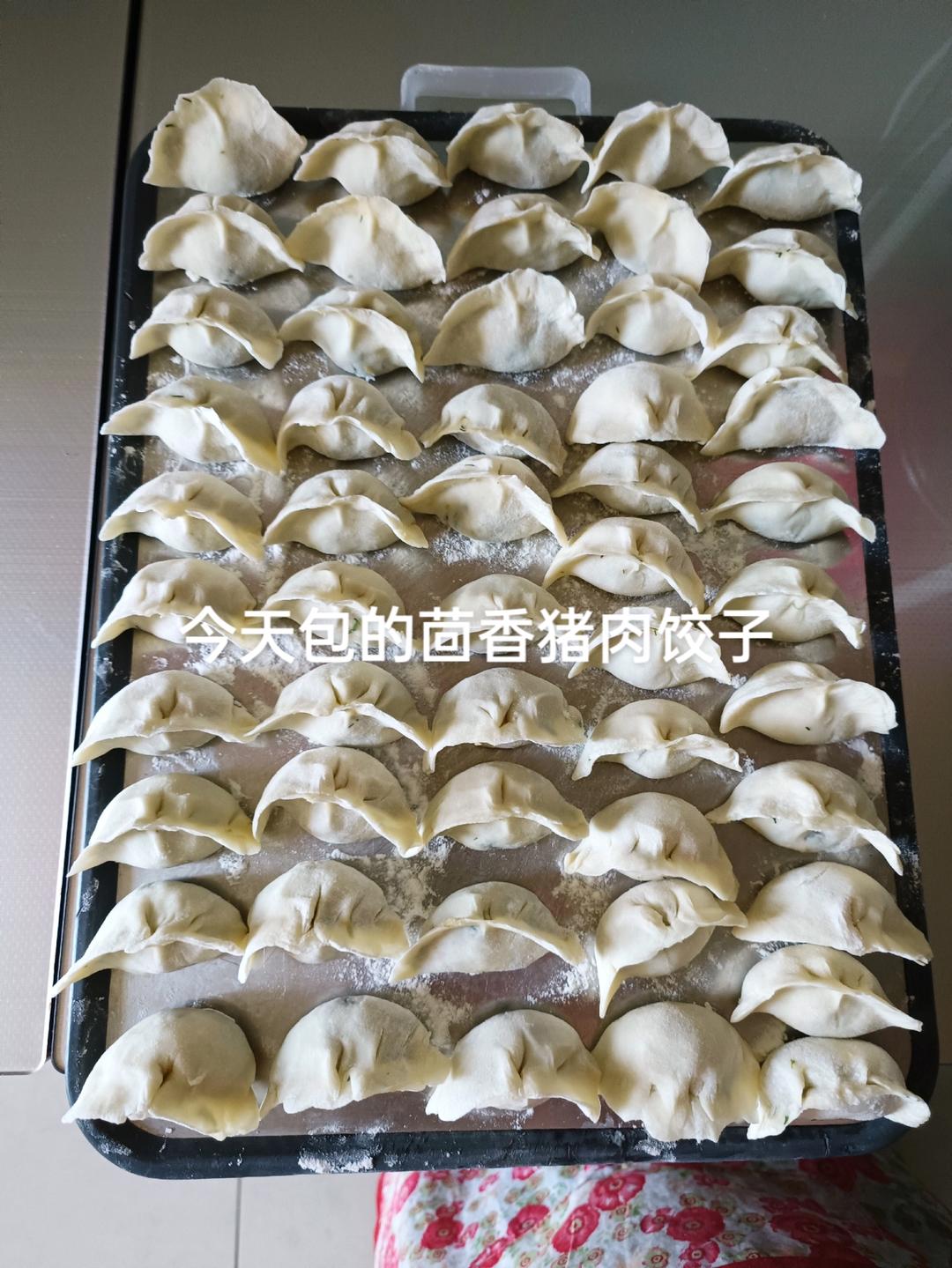 猪肉茴香饺子