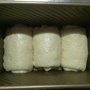 一次发酵乳清蛋白吐司~老面版的做法 步骤10