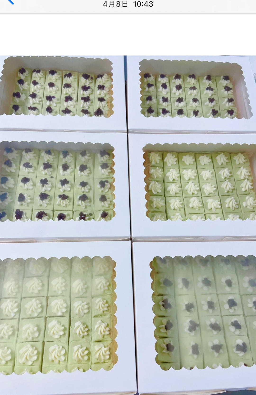 椰香芝士蔓越莓蛋糕   party小甜品的做法 步驟17