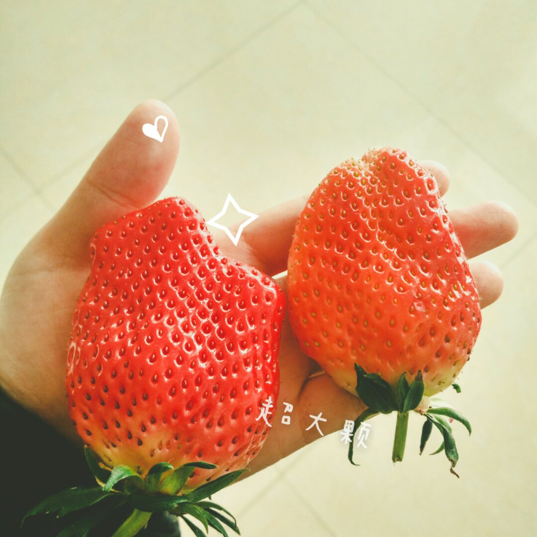 左撇子的猫88做的今冬第一颗草莓