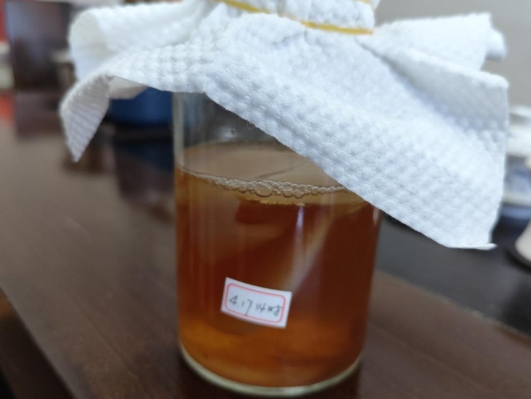 自制红茶菌（又名海宝、胃宝）