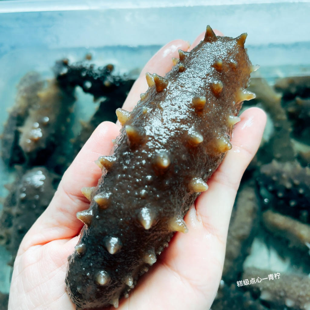 干海参的泡发方法