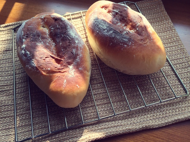 披着大灰狼脆皮的小绵羊软面包（冷藏发酵）