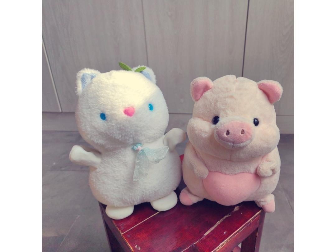小猫猫和小猪猪