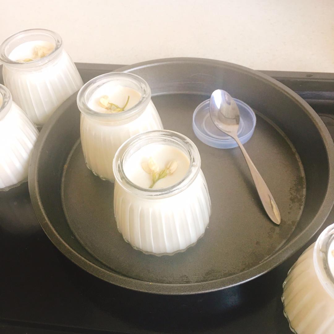 吃豆腐啦！——小嶋老师茉莉奶冻