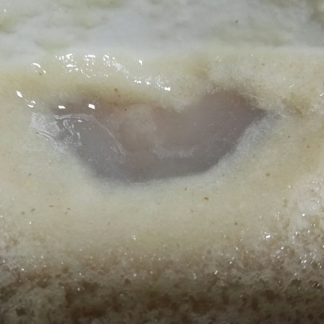 莲子冻
