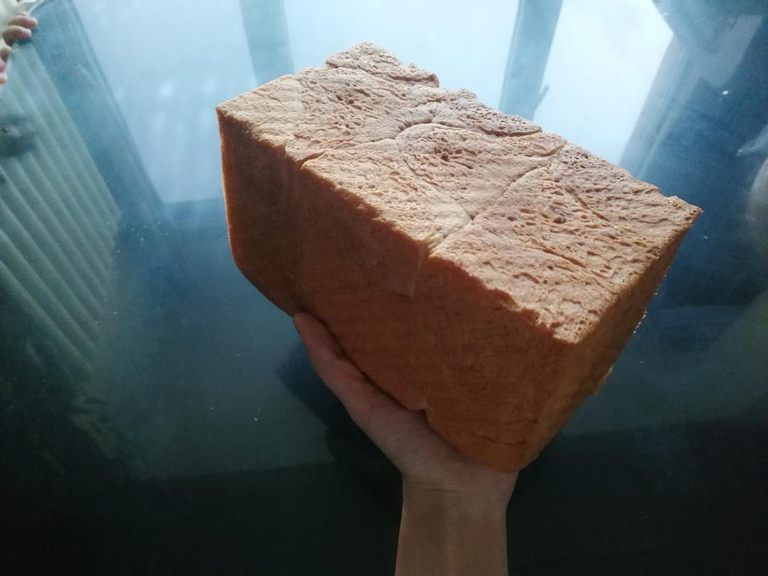 夺命软吐司(๑´ڡ`๑)超软拉丝极速方便的一次发酵吐司