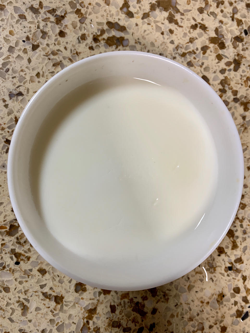 何炅老师同款双皮奶，Q弹好吃，超简单哦～