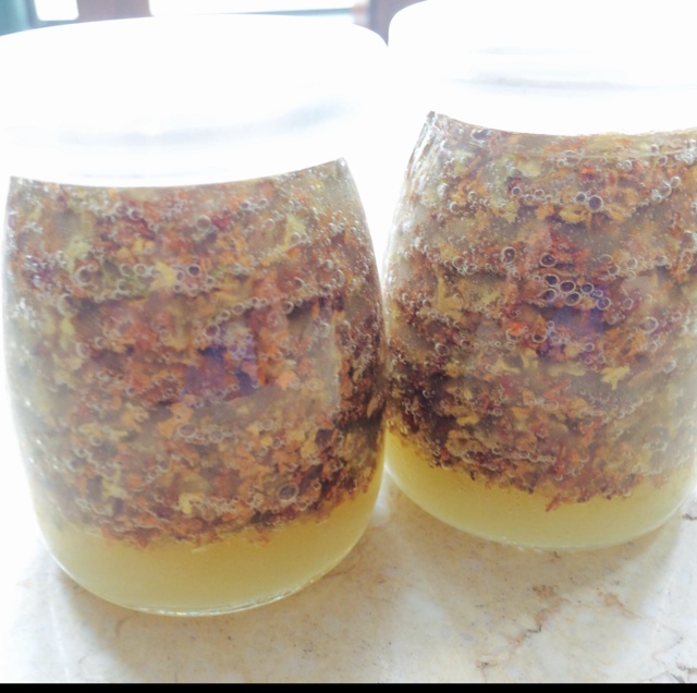 自制桂花蜜酱