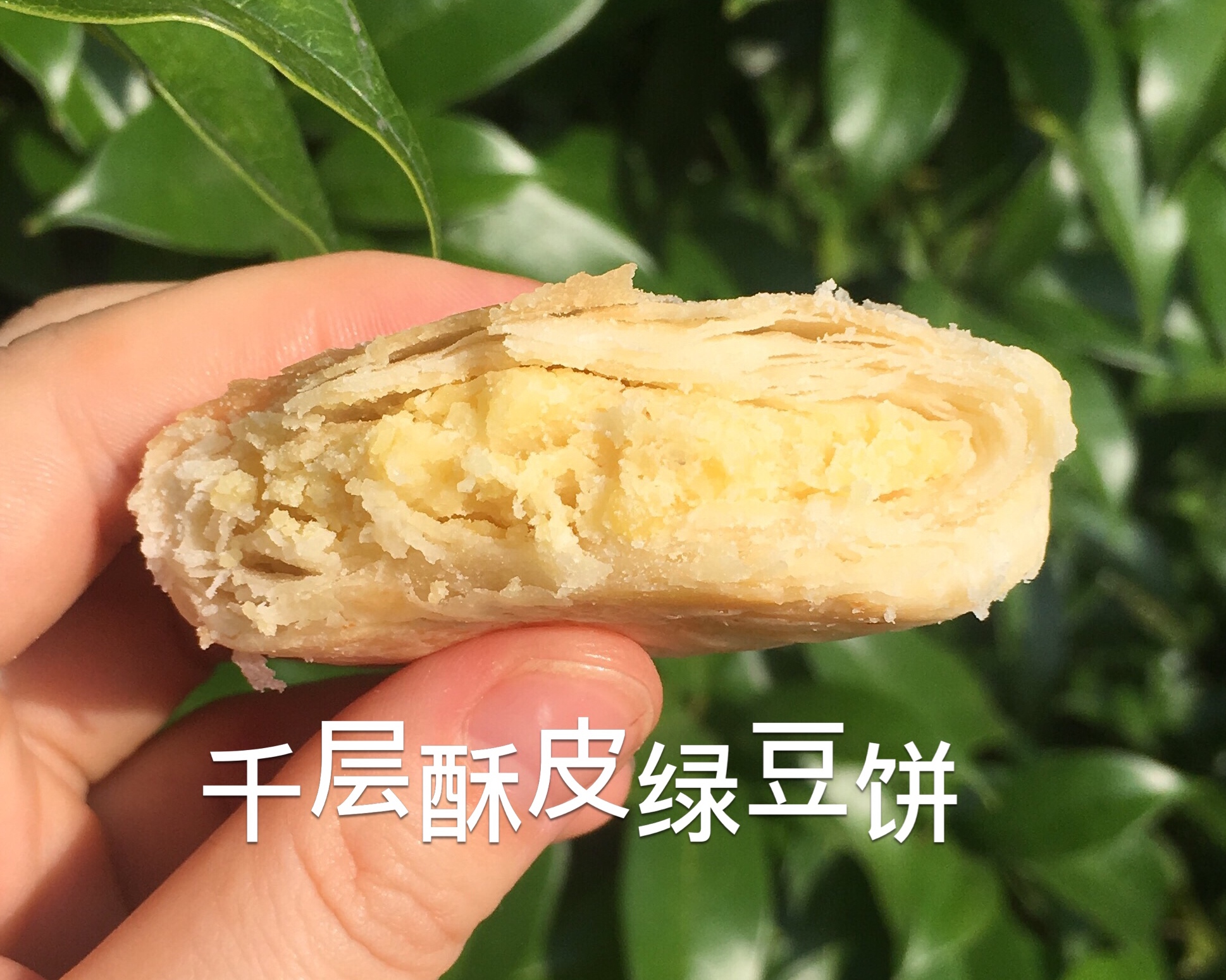 千层酥皮绿豆饼（烤箱加平底锅版）的做法