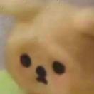 吃货的下厨纪录