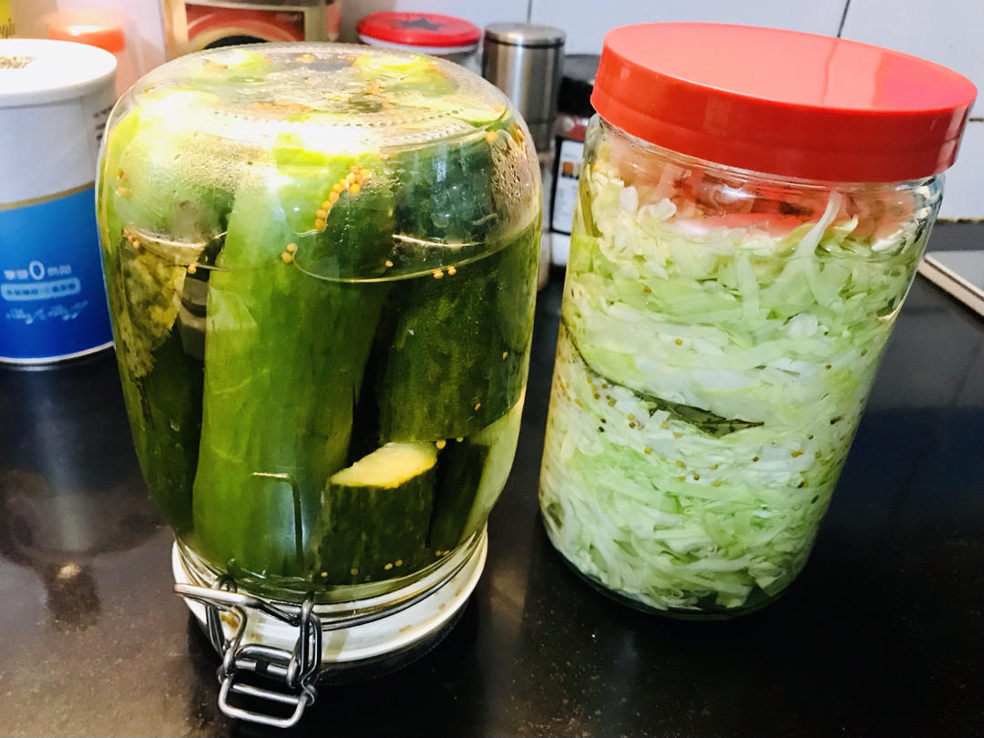 自制德式酸黄瓜的全部作品
