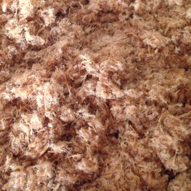 面包机自制肉松