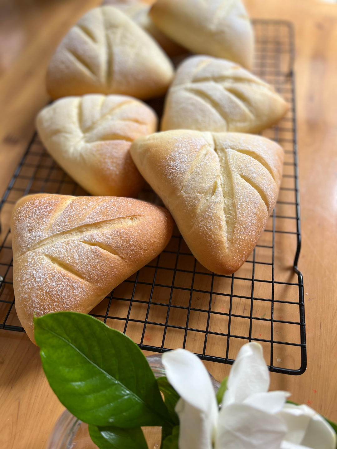 五星推荐蔓越莓乳酪软欧包