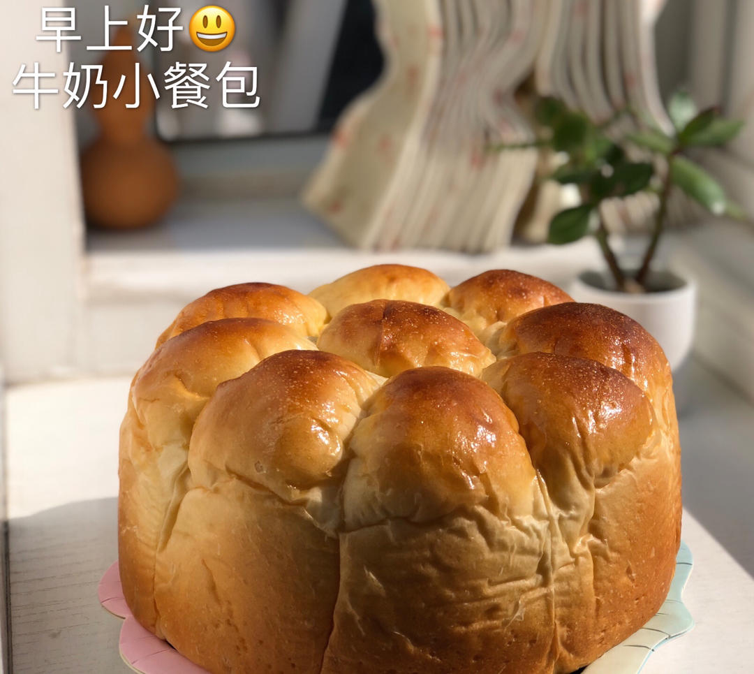 超软的牛奶小餐包