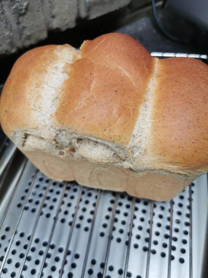 凯度r8全麦吐司