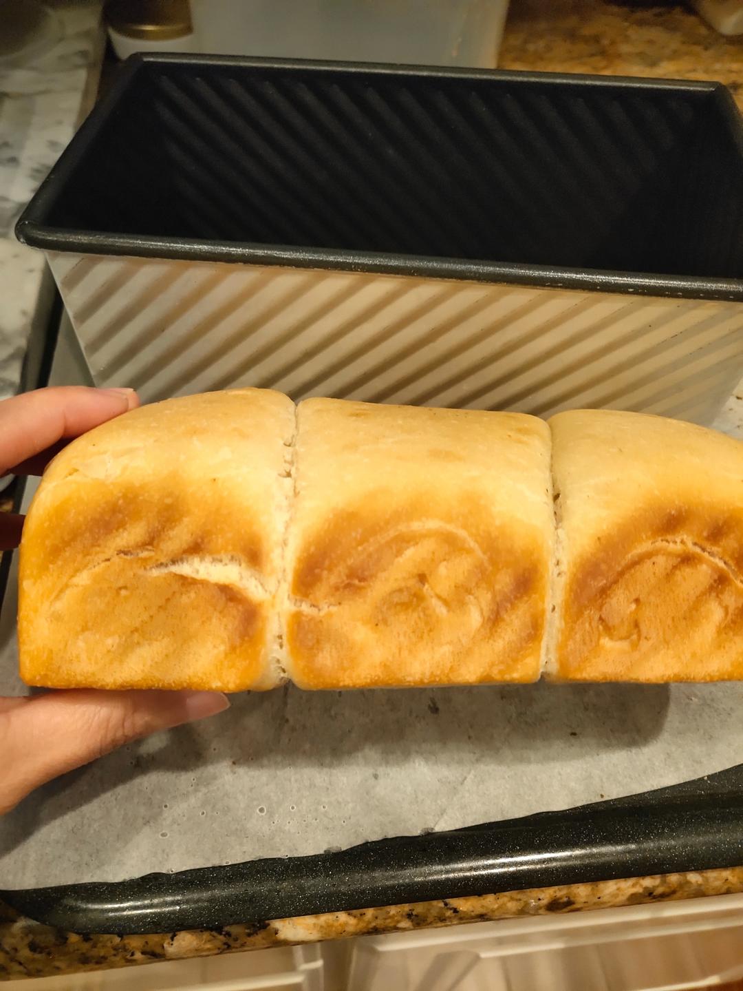 烫种牛奶吐司