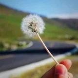 余生笑着陪你疯