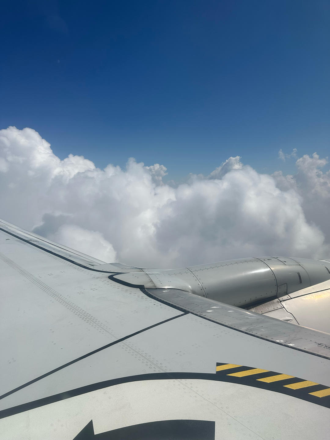 有没有一起吃美食的